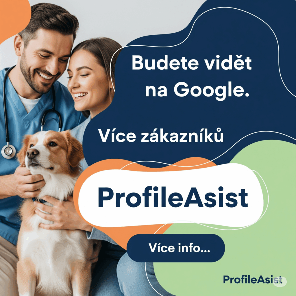 ProfileAsist SEO PR články